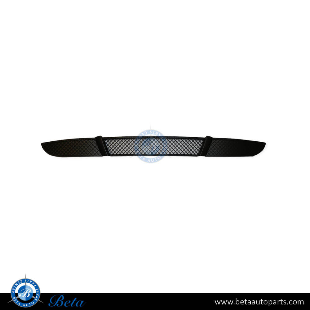Front Bumper Lower Grille for BMW 1 Series E81/E87 LCI 2007-2011 models, Part Number 51117166605 Front Bumper Lower Grille for BMW 1 Series E81/E87 LCI 2007-2011 models, Part Number 51117166605